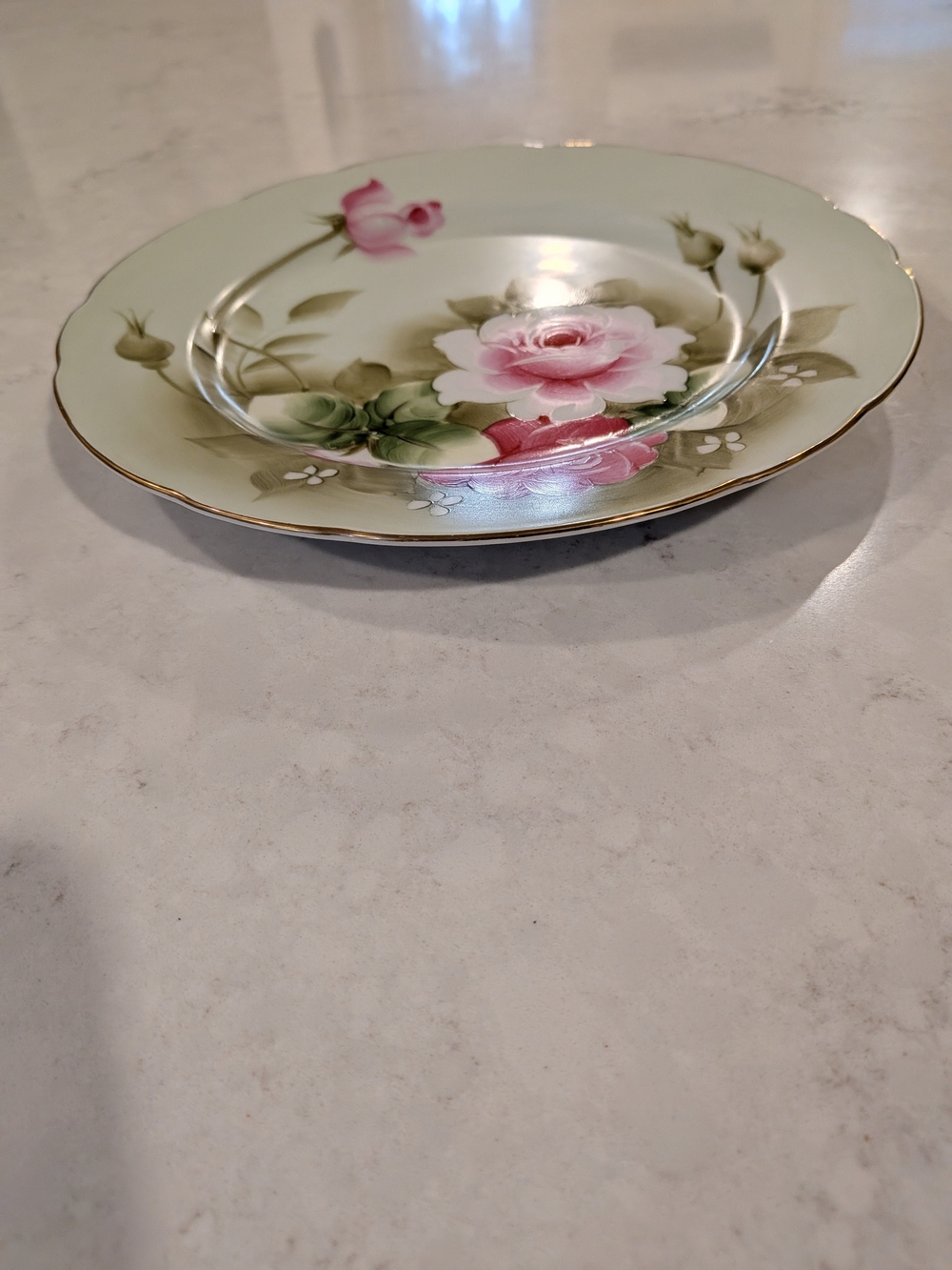 Mid XX - Century 1940-60s Porcelain "Wild Rose" This Is A Classic Poct-War Decor